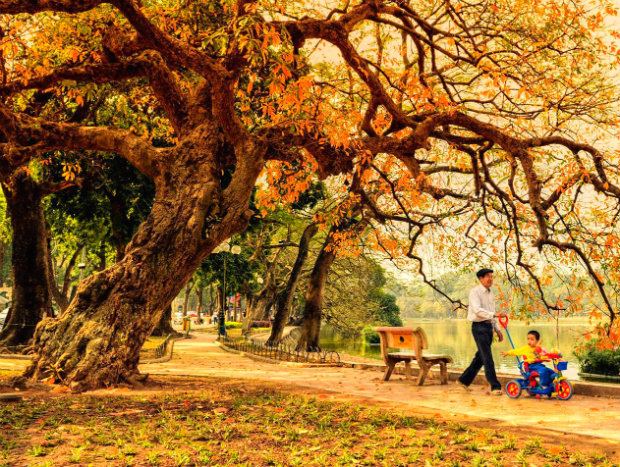 autumn in Hanoi