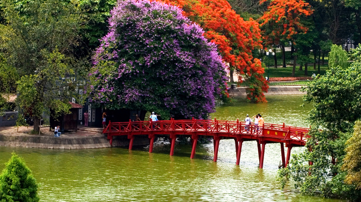 spring in Hanoi