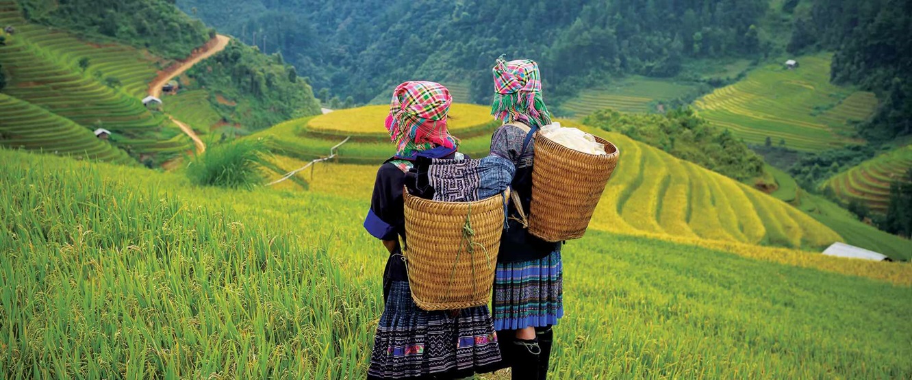 Sapa Villages – Trekking Through Local Culture