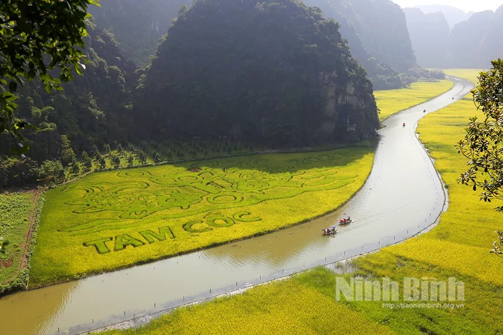 Tam Coc